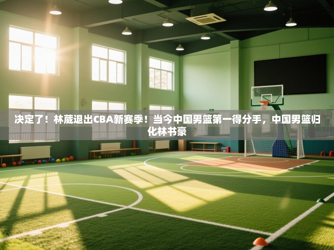 决定了!林葳退出CBA新赛季!当今中国男篮第一得分手,中国男篮归化林书豪 第1张
