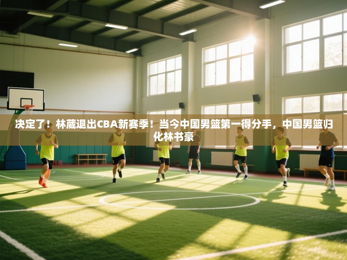 决定了!林葳退出CBA新赛季!当今中国男篮第一得分手,中国男篮归化林书豪 第2张