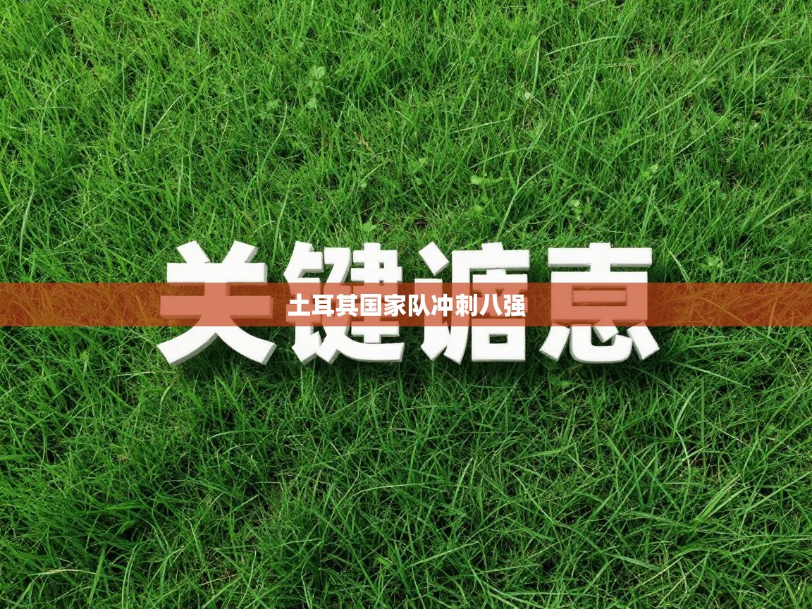 土耳其国家队冲刺八强 第1张