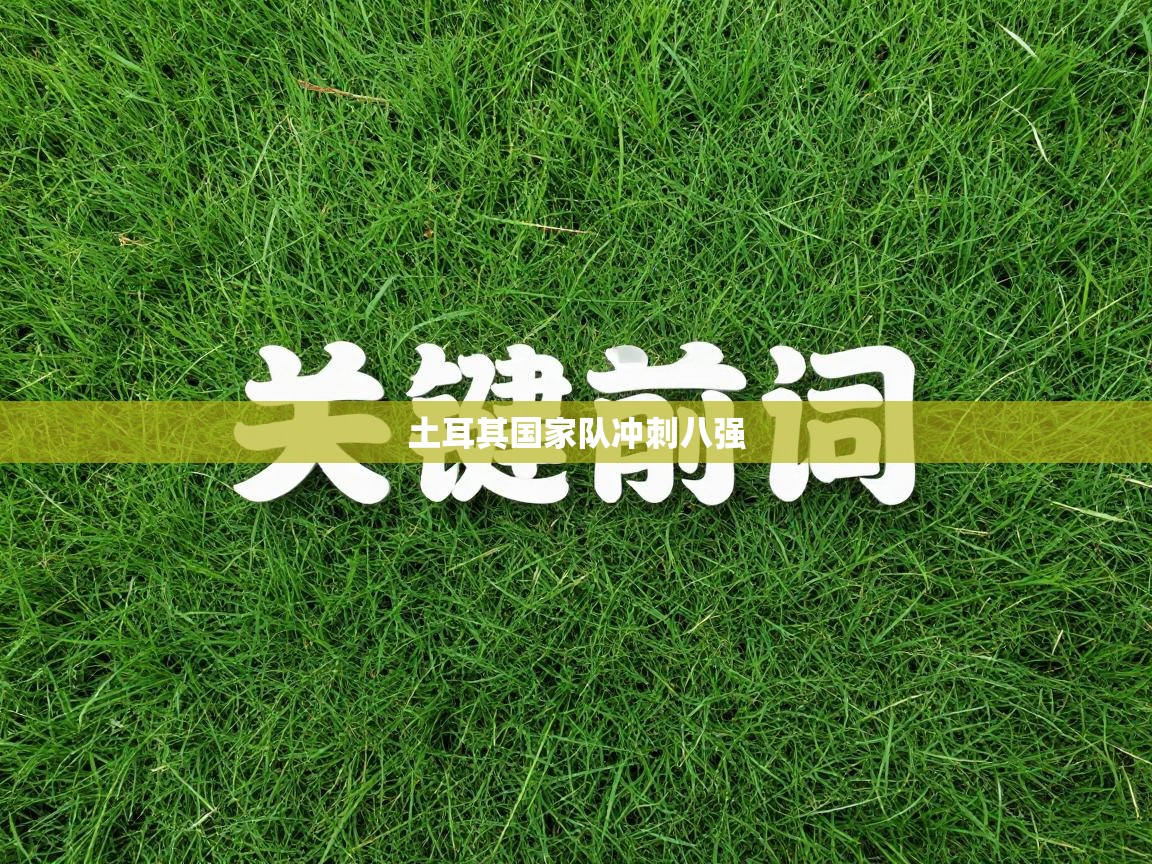 土耳其国家队冲刺八强 第2张